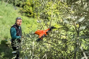 Stocker 629 - Olive Harvester Promo Kit