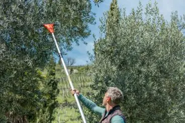 Stocker 629 - Telescopic Olive Harvester Promo Kit