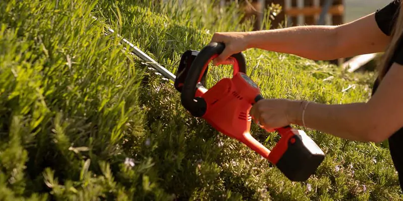 Stocker 632 - Professional 21 V Battery-Powered Hedge Trimmer