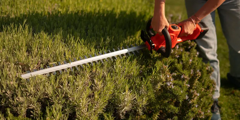 Stocker 63201 - 50 cm Hedge Trimmer Promo Kit