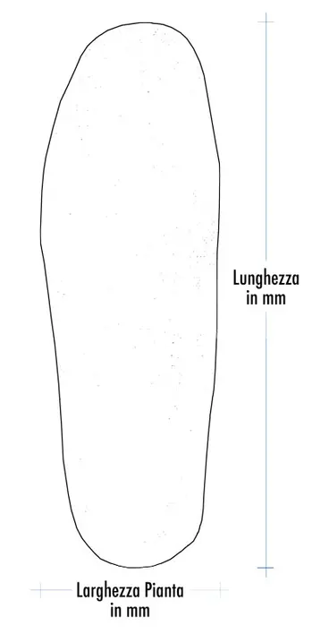 Foot shape