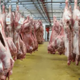 Vinext industri meat
