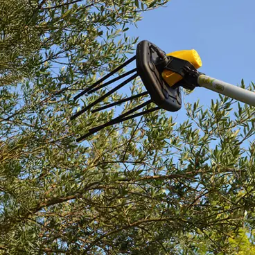 Volpi Giulivo Plus 705XL - Semi-professional 12V battery olive harvester