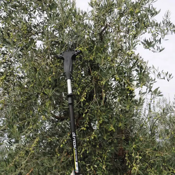 Volpi Olytech Super Power 555XL - Professional 12/24 V Olive Harvester