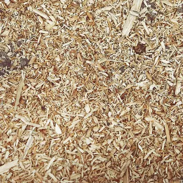residual Zanon branches